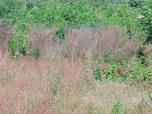 Land for sale in Mtwapa, Shimo la Tewa