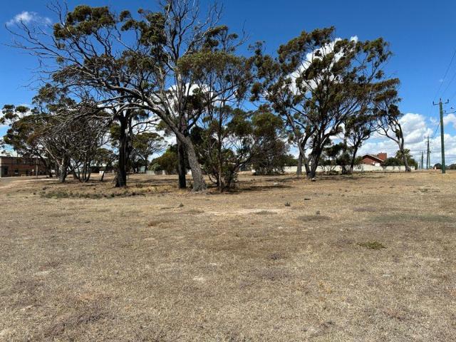 Land for sale in Gnowangerup, Western Australia