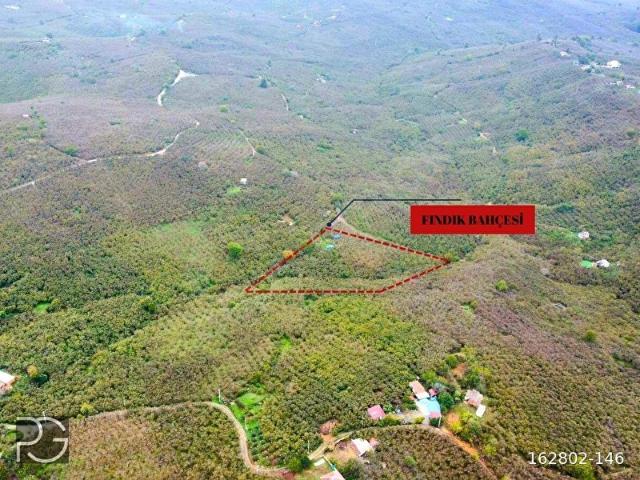 Kocaali, Sakarya içerisinde satılık mülk