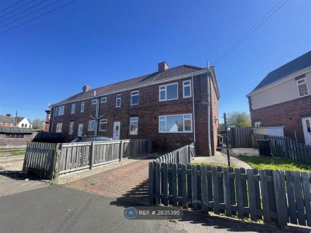 House for rent