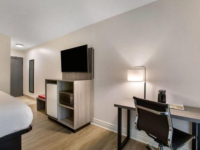 House for rent in Kingston, Eastern Ontario