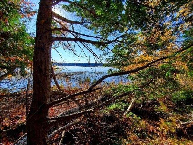 Land for sale in Princeton, Maine