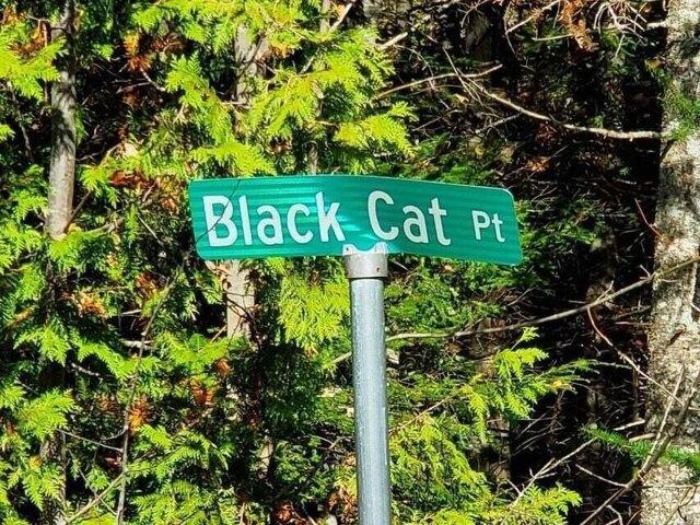 Land for sale in Princeton, Maine