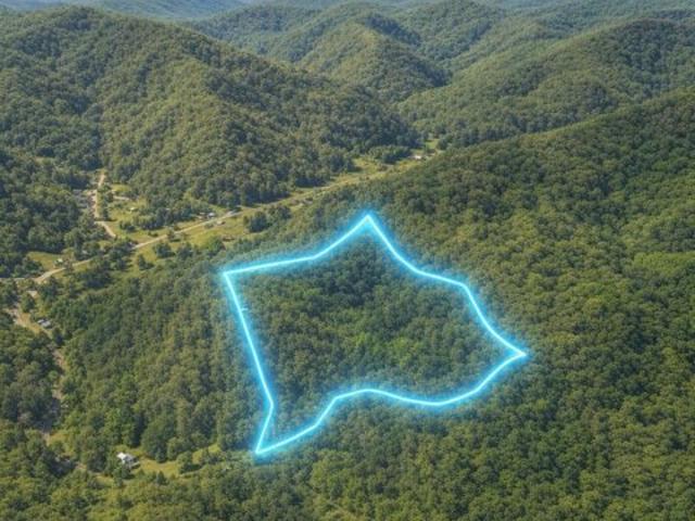 Land for sale in West Virginia