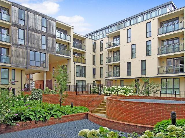 House for rent in Charlotteville, Guildford