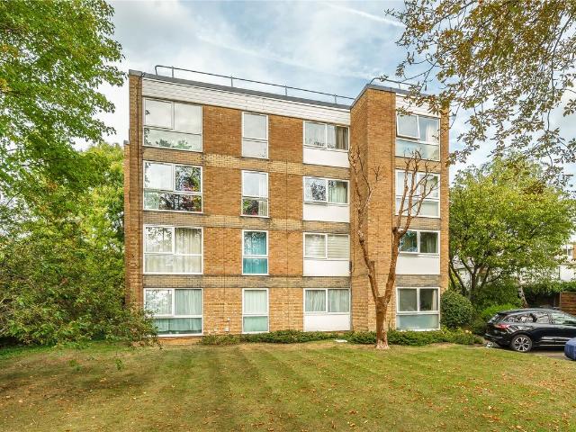 Studio for rent in Fortis Green, Greater London
