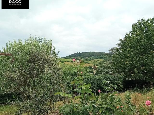 Maison vente à Mâcon, La Roche-vineuse
