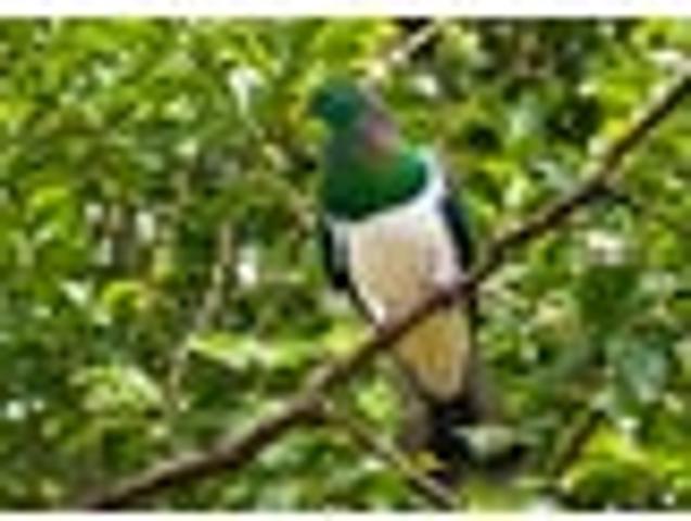 House for sale in Whangarei, Northland