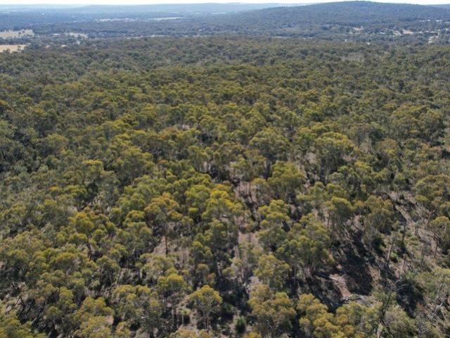Land for sale in Bakers Hill, Western Australia