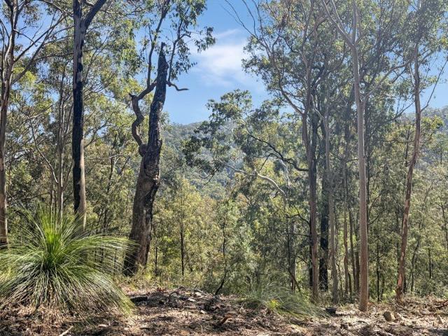 Cottage for sale in New South Wales