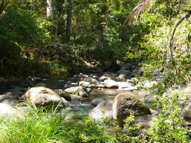 Cottage for sale in Cougal, Kyogle Council