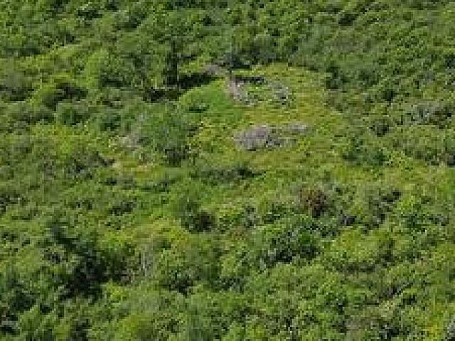 Land for sale in Delta, British Columbia
