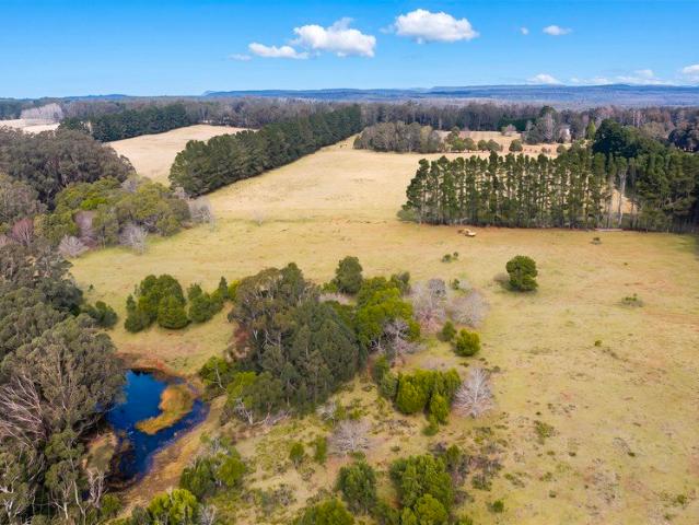 Land for sale in Sassafras, New South Wales