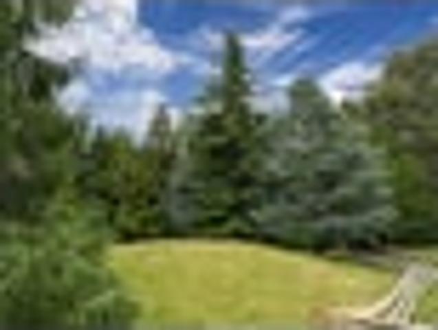 Land for sale in Waikato