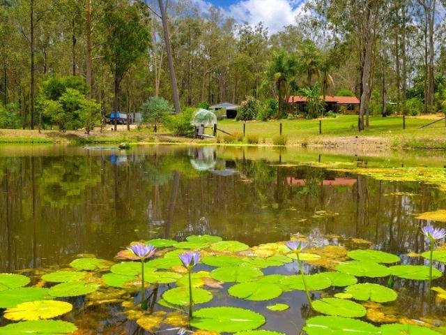 House for sale in Gunalda, Gympie Regional