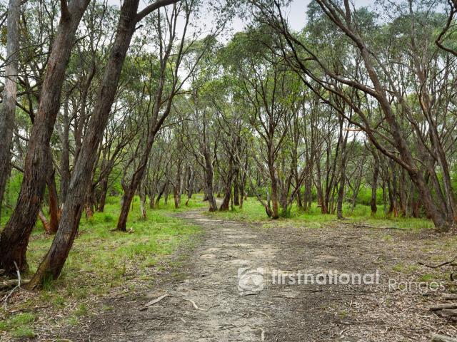 Property for sale in Camerons Creek, Victoria