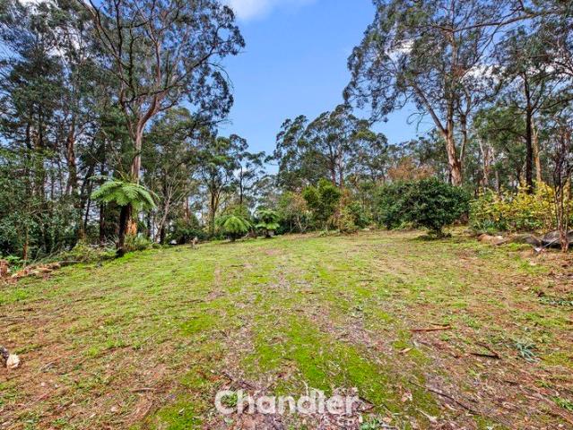 Land for sale in Camerons Creek, Victoria
