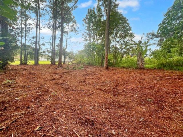 Land for sale in Toombul, Queensland