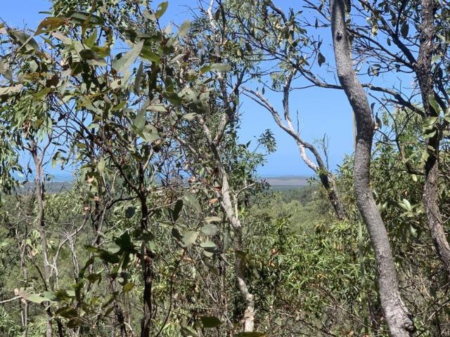 Land for sale in Bloomsbury, Queensland
