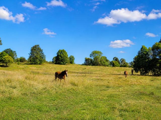 House for sale in Curra, Queensland