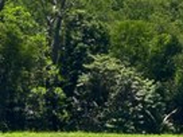 Acreage for sale in Midgeree Bar, Queensland