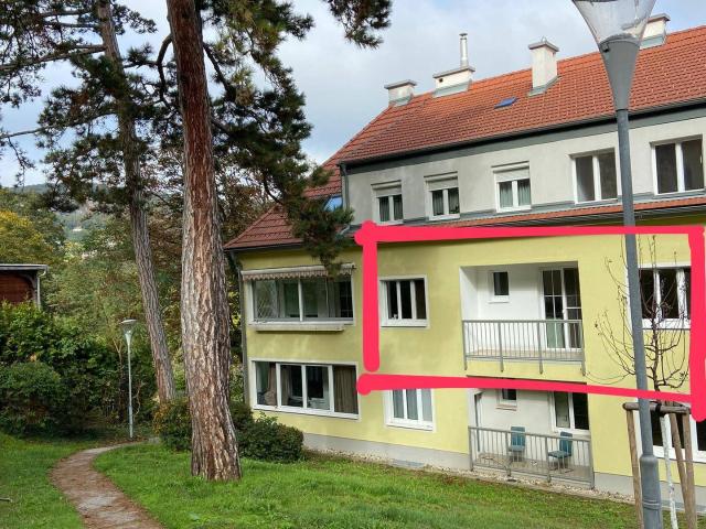 Apartment mieten in Katastralgemeinde Hinterbrühl, Hinterbrühl