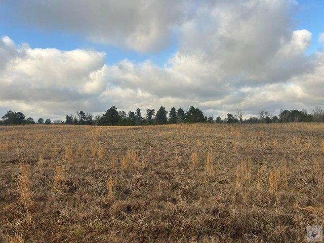 Land for sale in Ark