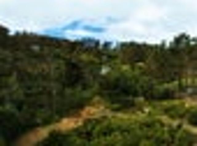 House for sale in Horokiwi, Wellington