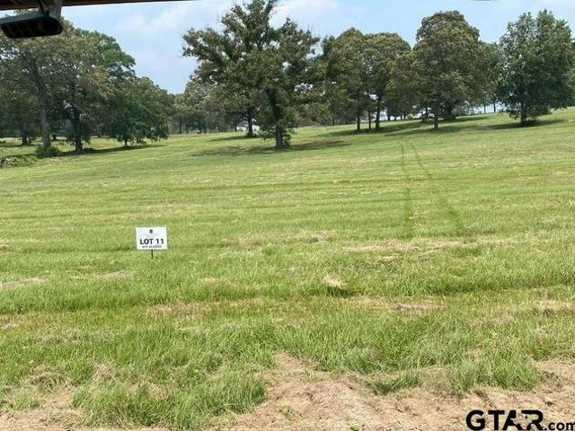 Land for sale in Big Sandy, Upshur County