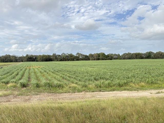 Cottage for sale in Oakenden, Queensland