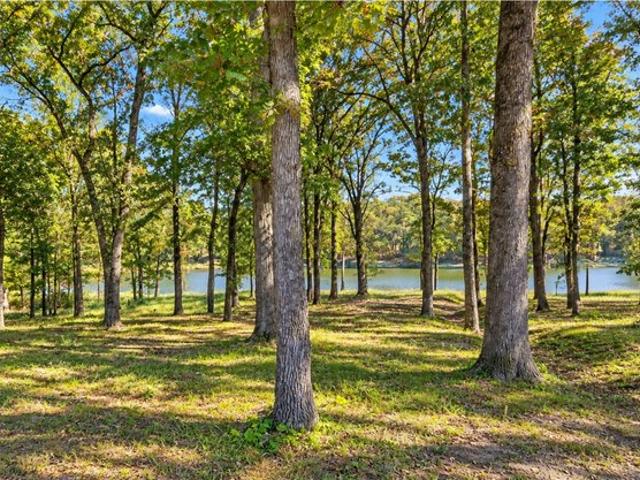 Land for sale in Leesburg, Camp County