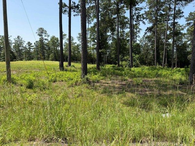 Land for sale in Sabine, Texas