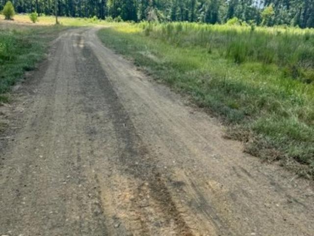Land for sale in San Augustine, Texas