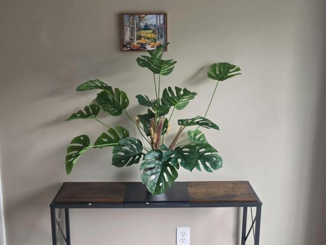 Room for rent in Jenkinsburg, Georgia