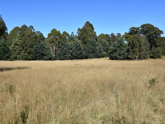 Land for sale in Elizabeth Town, Tasmania