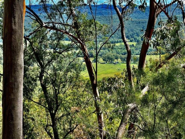 Cottage for sale in New South Wales