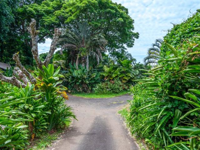 Room for rent in Hawaii