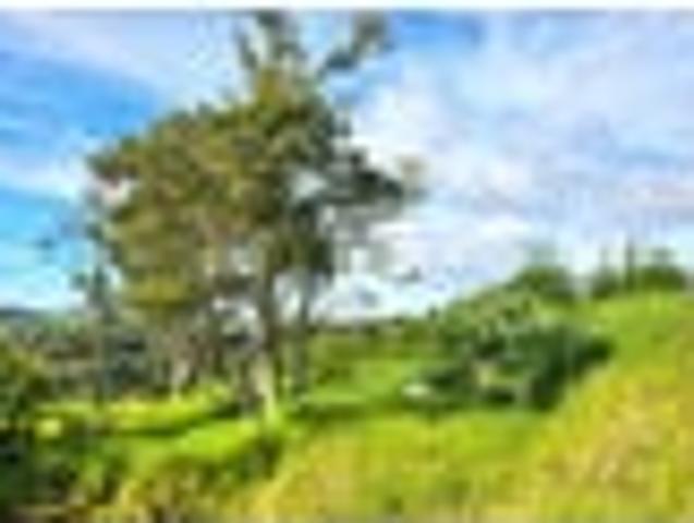 Land for sale in Ohaeawai, Northland