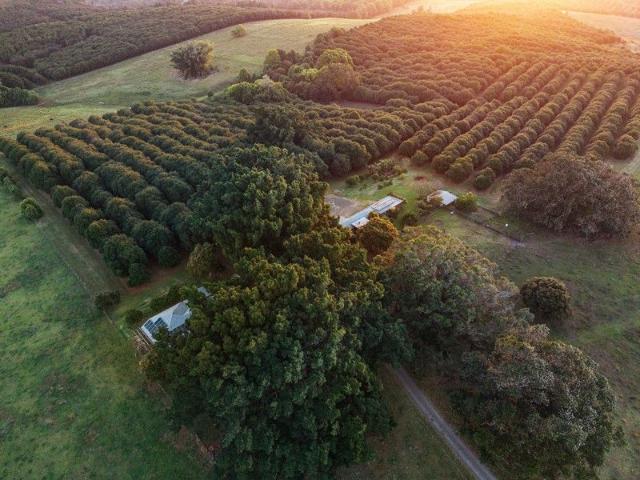 Cottage for sale in Knockrow, New South Wales