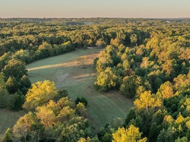 Farm for sale in St. James, Phelps County