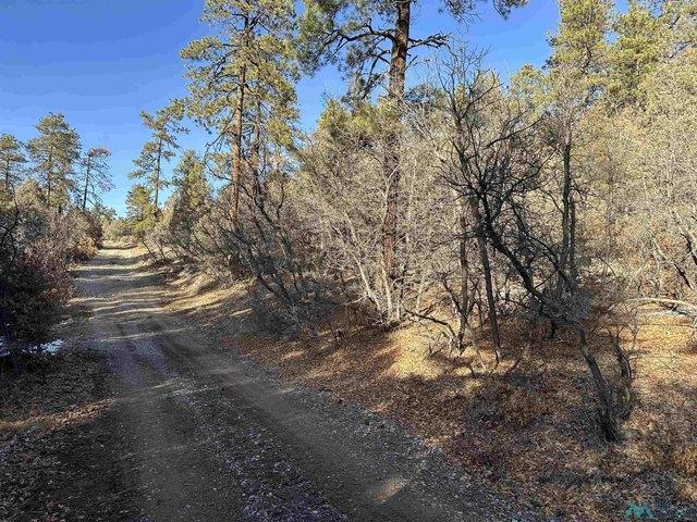 Land for sale in Chama, New Mexico