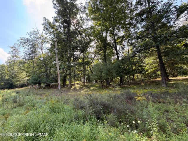Land for sale in Pocono Township, Monroe County