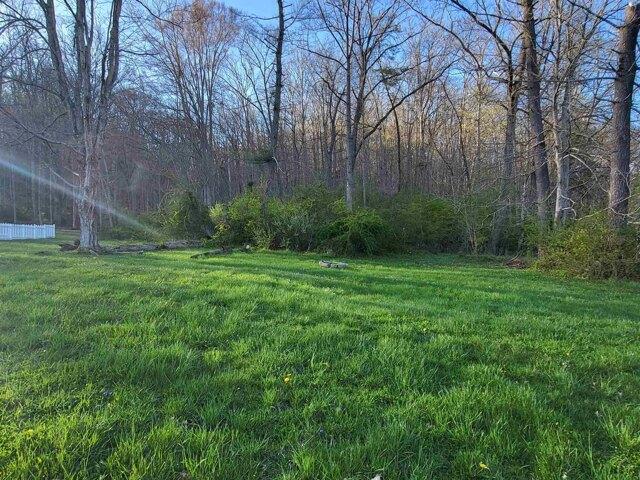 Land for sale in Pedro Land for sale in Pedro