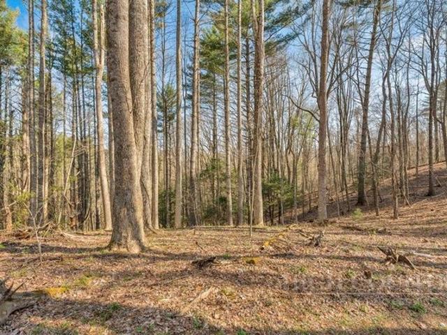 Land for sale in Watauga, North Carolina