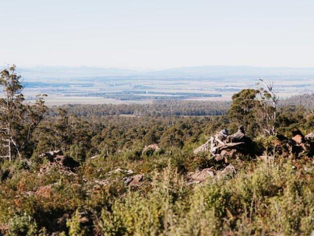 Cottage for sale in Blackwood Creek, Tasmania