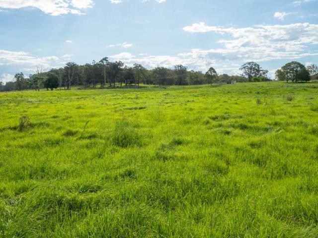 Property for sale in Dondingalong, New South Wales