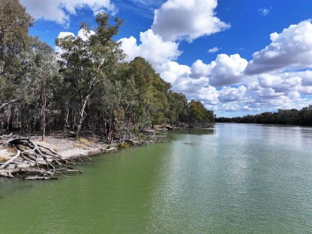 Cottage for sale in Wentworth, New South Wales