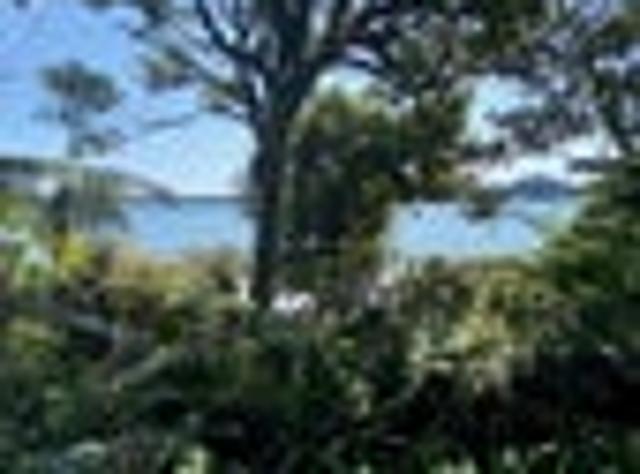 House for sale in Lake Rotoma, Bay Of Plenty