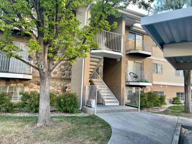 Room for rent in Provo, Utah
