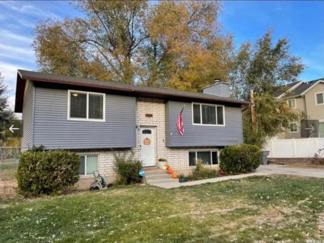 Room for rent in American Fork, Utah
